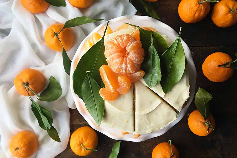 Freshly baked orange cake